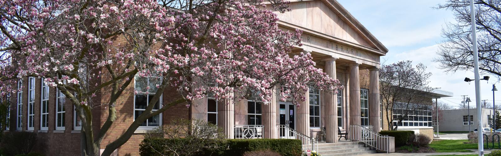 Ritter Public Library building front in spring with blooming magnolia trees